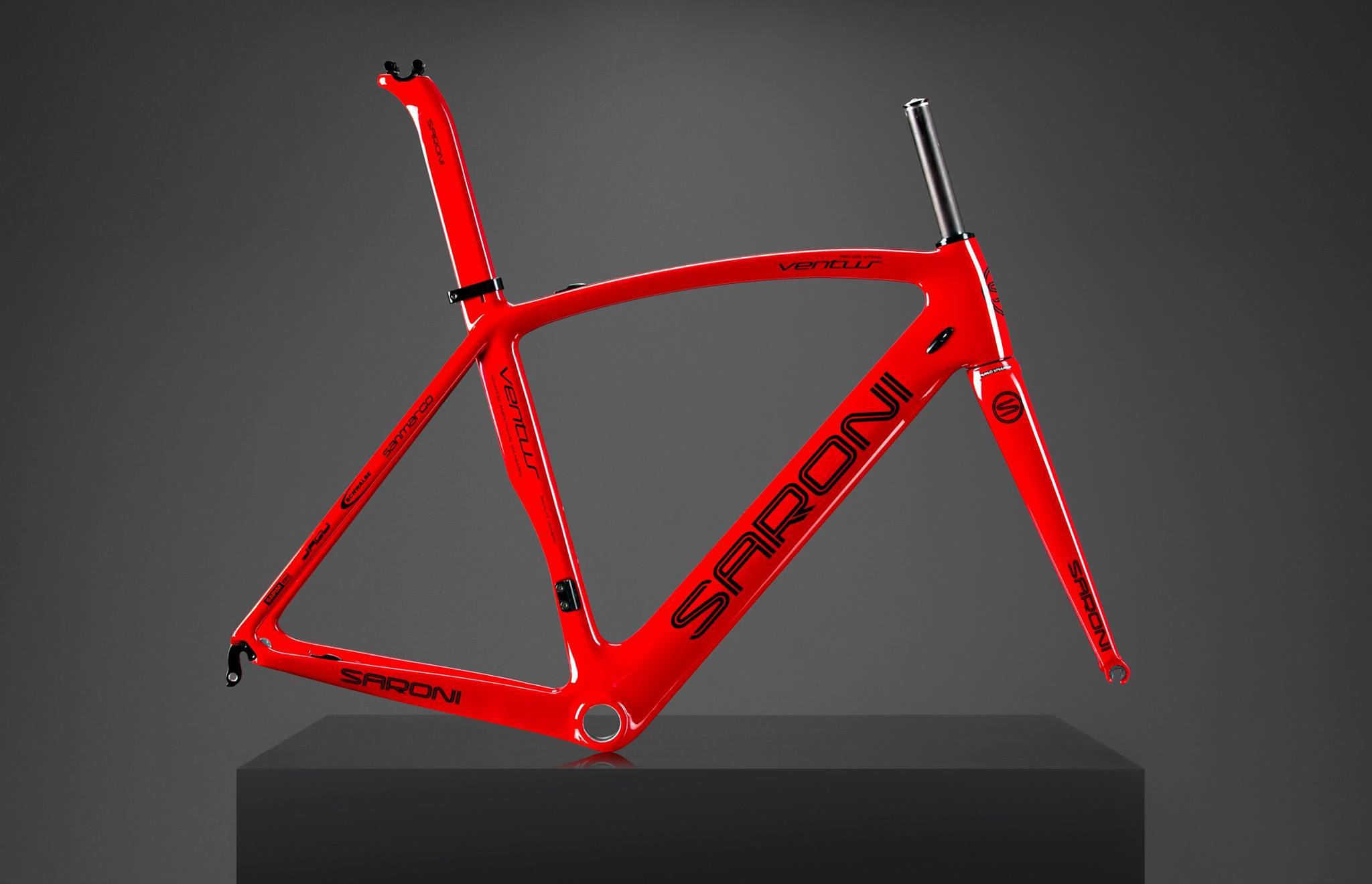 David Saroni Custom Bike