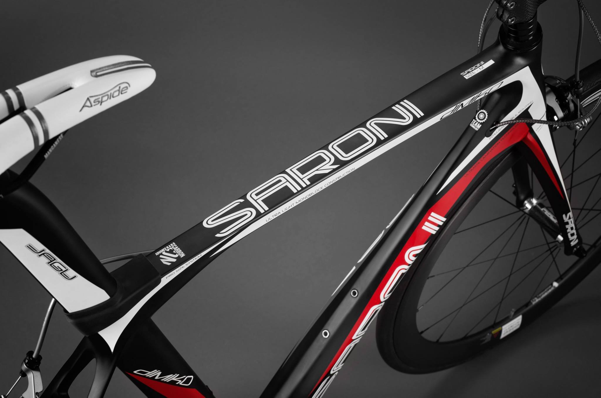 David Saroni Custom Bike